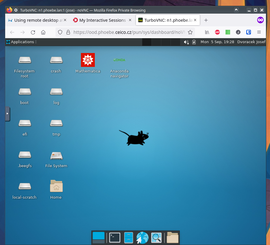 Remote Xfce desktop running on a Phoebe compute node
