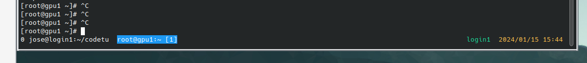 GNU screen status line with open tabs, hostname and time