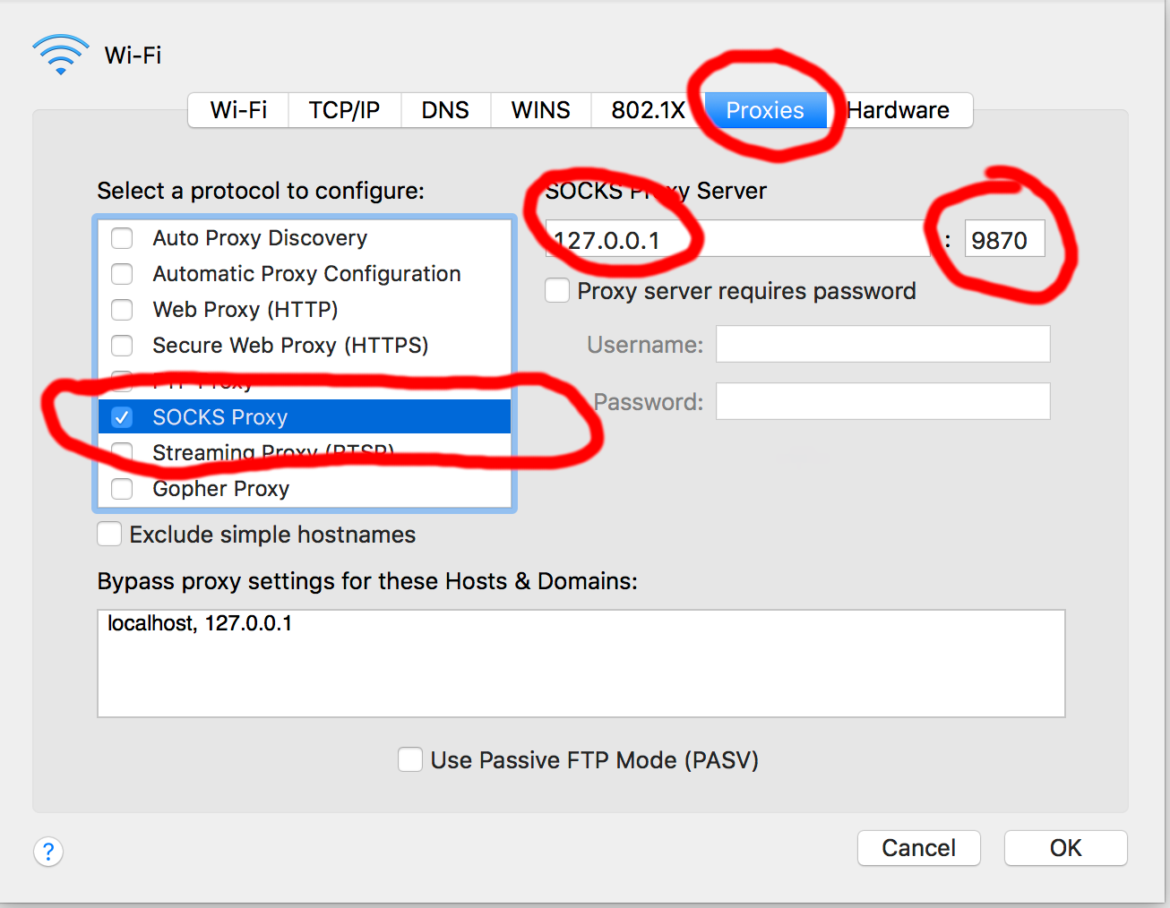 macOS network proxy settings with a SOCKS proxy on 127.0.0.1